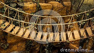 Adventure wooden rope suspension bridge in jungle rainforest Stock Photo