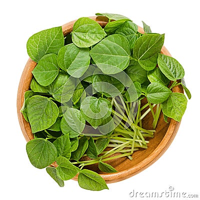 Adzuki bean microgreens in wooden bowl Stock Photo