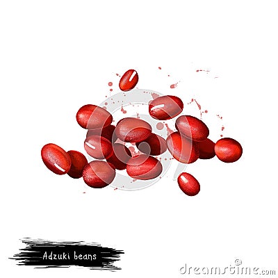 Adzuki beans, azuki or aduki, red mung bean digital art illustration isolated on white. Organic healthy food. Green Cartoon Illustration
