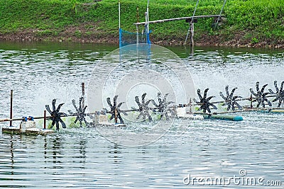 Aerator Water Turbine Wheel Fill Oxygen into Shrimp Farm Pond Stock Photo