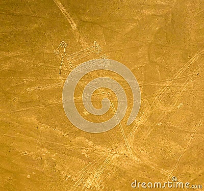 Aerial airplane panoramic view to Nazca geoglyph lines aka Dog, Ica, Peru Stock Photo