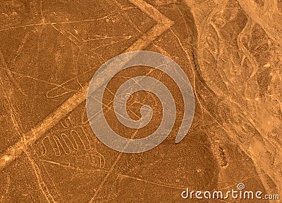 Aerial airplane panoramic view to Nazca geoglyph lines aka Whale, Ica, Peru Stock Photo
