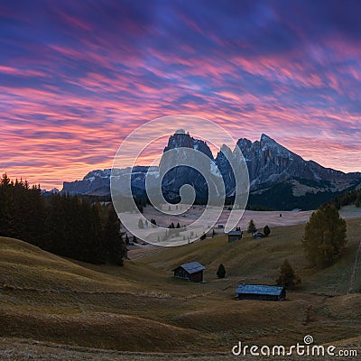 Aerial autumn sunrise scenery with yellow larches and small alpine building and Odle - Geisler mountain group on background. Stock Photo