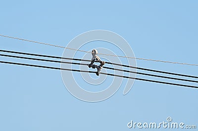 Aerial cable spacer system Stock Photo