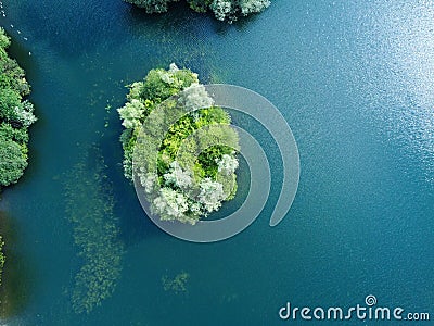 Aerial down view of island on a tranquil clear water lake in Hertfordshire with underwater reeds Stock Photo