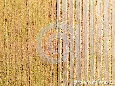 Aerial drone image of fields with diverse crop growth based on principle of polyculture and permaculture healthy farming method of Stock Photo