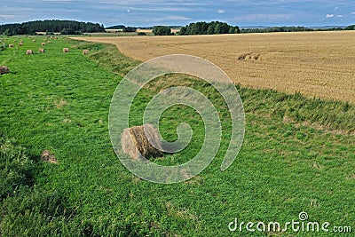 Aerial drone perspective view on rural landscape with wheat field, green meadow and hay bales Stock Photo