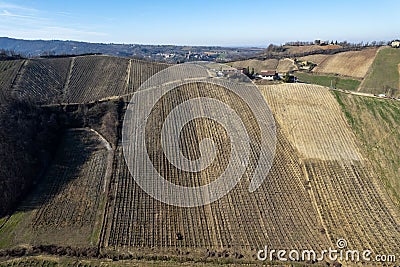 Aerial drone shot of a crawled tractor driver circulating through vine rows in winter Stock Photo