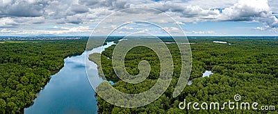 Aerial drone shot of river and heavy density mangrove Stock Photo