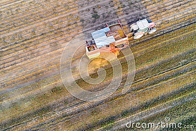 aerial drone view of agricultural machinery working in the potato harvest Stock Photo