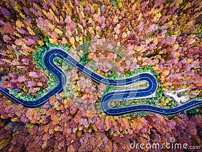 Aerial drone view of a curved winding road through the forest hi Stock Photo