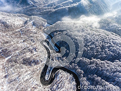 Aerial drone view of a curved winding road through the forest hi Stock Photo