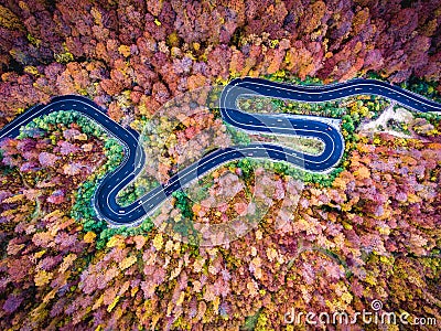 Aerial drone view of a curved winding road through the forest Stock Photo