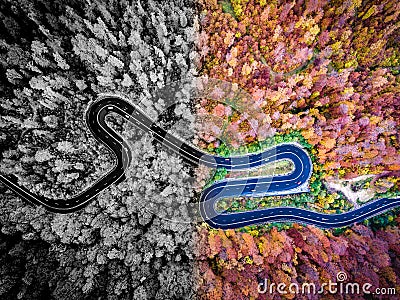 Aerial drone view of a curved winding road in the woods Stock Photo