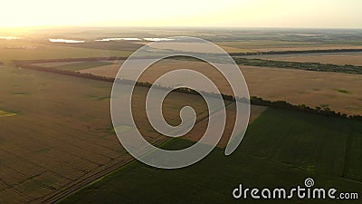 Aerial drone view flight over fields with different growing Stock Photo