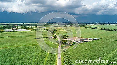 Aerial drone view of green fields and farm houses near canal, typical Dutch landscape, Holland, Netherlands Stock Photo