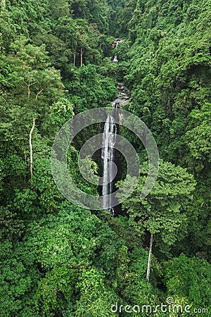 Aerial drone view hidden waterfall in jungle rainforest. Wild untouched nature Stock Photo