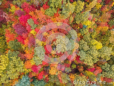Aerial Drone view of overhead colorful fall / autumn leaf foliage near Asheville, North Carolina.Vibrant red, yellow, teal, orange Stock Photo
