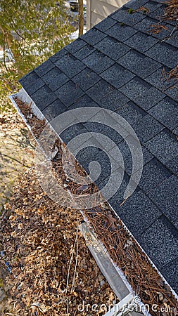 Aerial drone view of residential rain gutter eavestrough filled with pine needles and tree debris Stock Photo