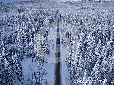 Aerial drone view of road in idyllic winter landscape. Street running through the nature from a birds eye view. Stock Photo
