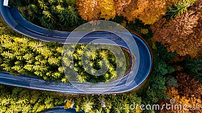 Aerial drone view of winding forest road in the mountains. Colourful landscape with rural road, trees with yellow leaves Stock Photo