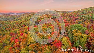 Aerial fall color Stock Photo