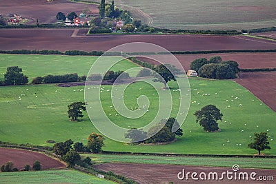 Aerial farming fields and livestock Stock Photo