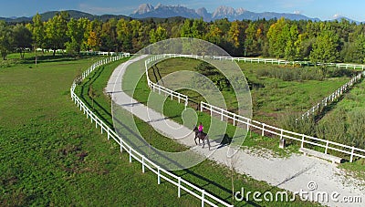 AERIAL: Flying above unrecognizable woman riding her mare down a gravel road. Stock Photo