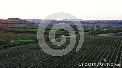 Aerial footage of an agricultural area and green rolling fields. Stock Photo