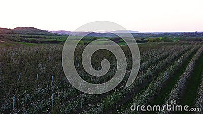 Aerial footage of an agricultural area and green rolling fields. Stock Photo