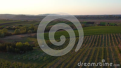 Aerial footage of an agricultural area and green rolling fields. Stock Photo