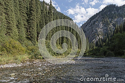 Aerial footage of Kaindy lake in Kazakhstan Stock Photo