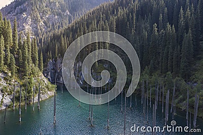 Aerial footage of Kaindy lake and sunken forest in Kazakhstan Stock Photo