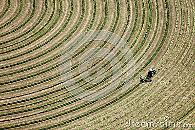 An aerial view of alfalfa hay being harvested. Editorial Stock Photo