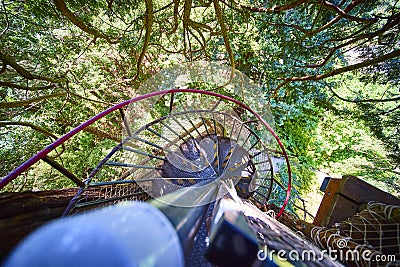 Aerial Helical Staircase in Redwood Forest Canopy Stock Photo