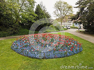 Aerial high view by drone on colorful flowerbed circle Stock Photo