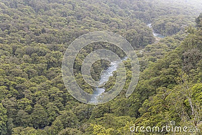 Aerial of Hollyford river in valley with rainforest lush vegetation, near Pop`s view, Fiordland Park, New Zealand Stock Photo