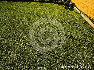 Aerial image of a lush green filed Stock Photo