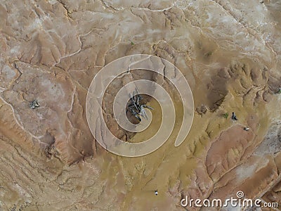 aerial scene of the land erosion due to deforestation and earth mining. Stock Photo