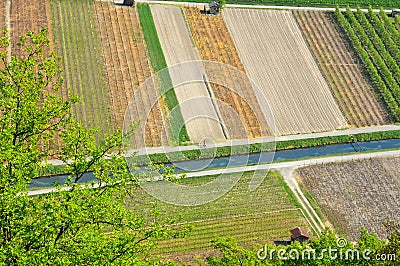 Aerial image of vineyards, orchards and stream Stock Photo