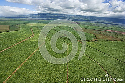 Aerial of irrigated cropland. Stock Photo