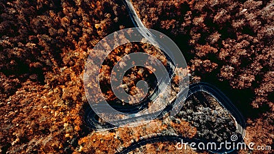 Beautiful aerial landscape of empty mountain forest road. Transportation concept Stock Photo