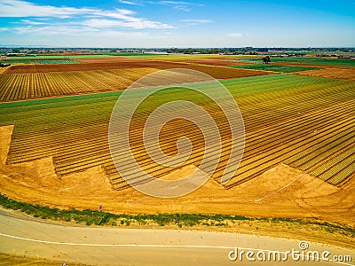 Aerial landscape of green and brown fields. Stock Photo