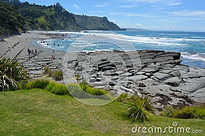 Aerial landscape view of Goat Island beach New Zealand Editorial Stock Photo