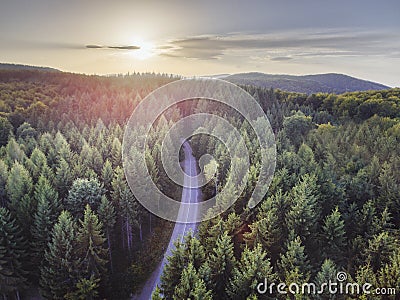 Aerial nature scenic landscape of pine trees and driving road in summer. Top view of dark green forest in mountain at sunset Stock Photo