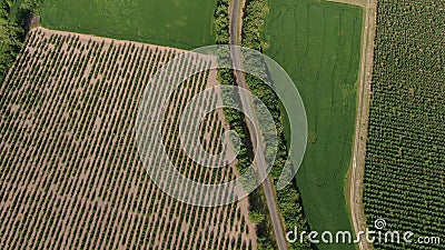 Aerial panorama of the road, that leads between green patterns of fields and gardens Stock Photo