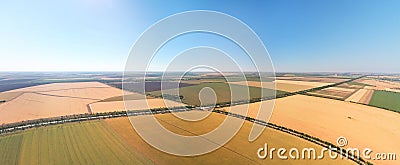 Aerial panorama of wheat meadow Stock Photo