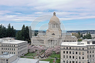 Aerial Perspective Over Spring Cherry Blossoms at the Washington State Capital building in Olympia Stock Photo