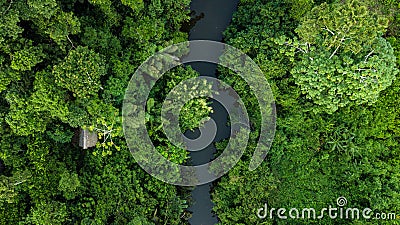 Aerial photo of amazon rain forest jungle in Peru Stock Photo