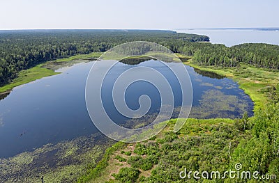 Aerial photo of forest boggy lake in the Karakansky pine forest near the shore of the Ob reservoir Stock Photo